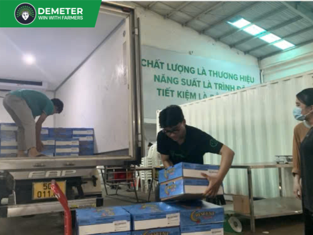 https://demeter.vn/storage/Services/Quản lý kho lạnh/Quản lý kho lạnh - sub1.png
